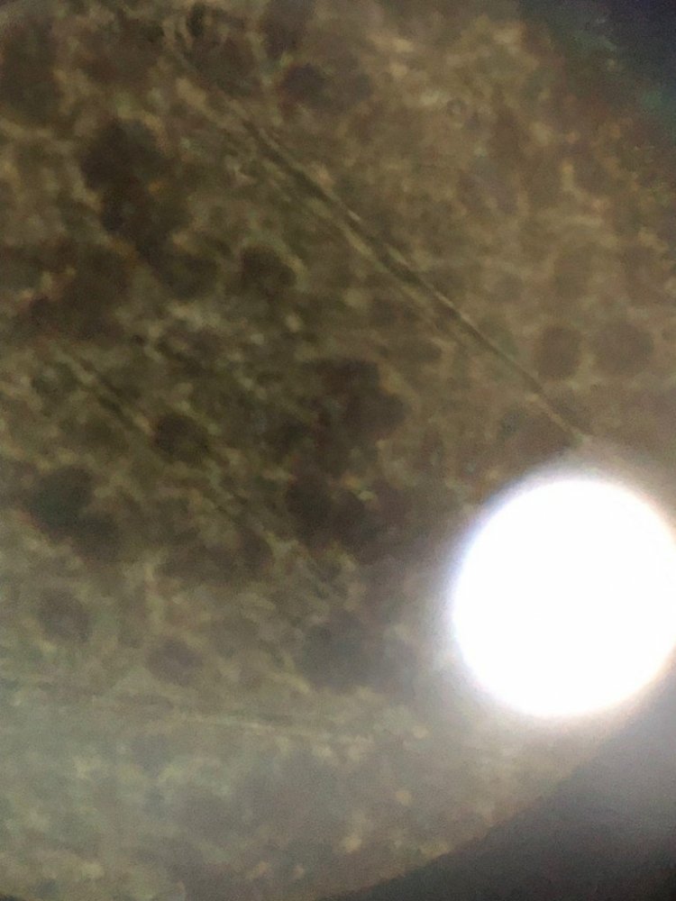 0_IMG_20190615_231921_347.thumb.jpg.53ce040166509b582baf244b96ffbca5.jpg