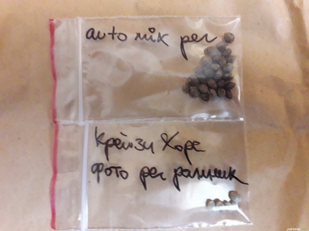 20190523_122842.thumb.jpg.882b961907129b0869a97478c1f2a4b4.jpg