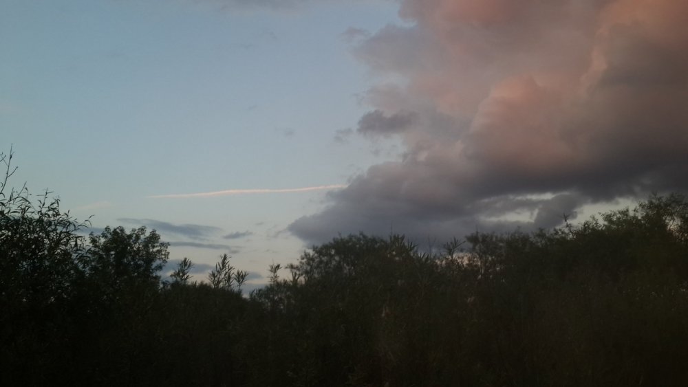 20190602_210039.thumb.jpg.4bec56c78ea02236c2eeb9524eb4e687.jpg