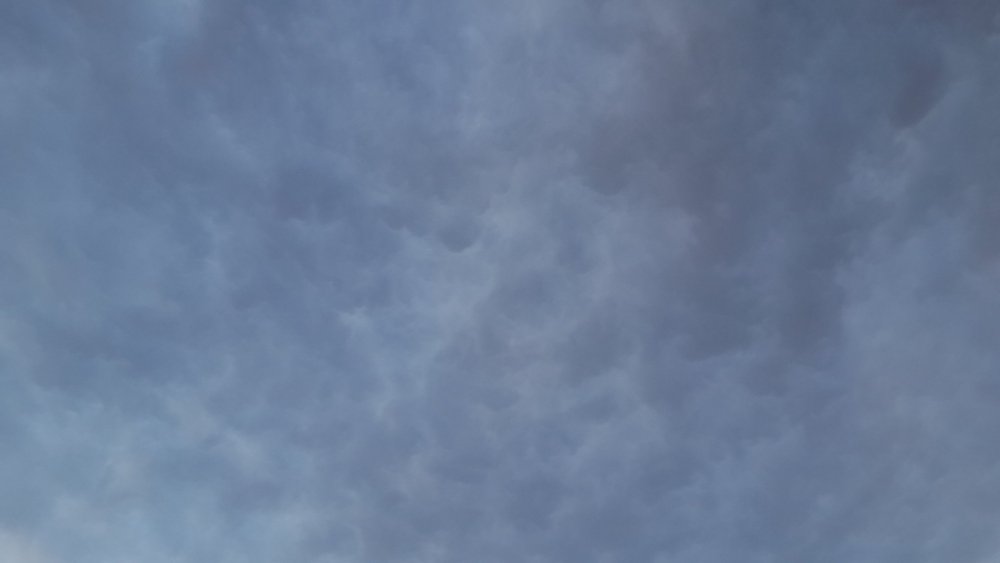 20190602_210049.thumb.jpg.a50a9901cbdfbf010910c245dc818148.jpg
