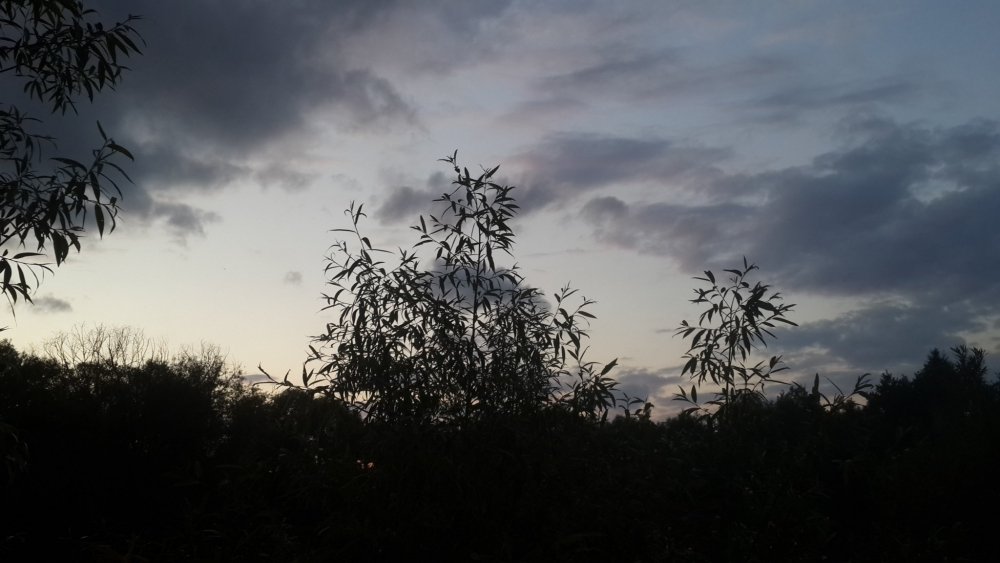 20190602_210056.thumb.jpg.d6191a632137908afc2cf4e5765661b2.jpg