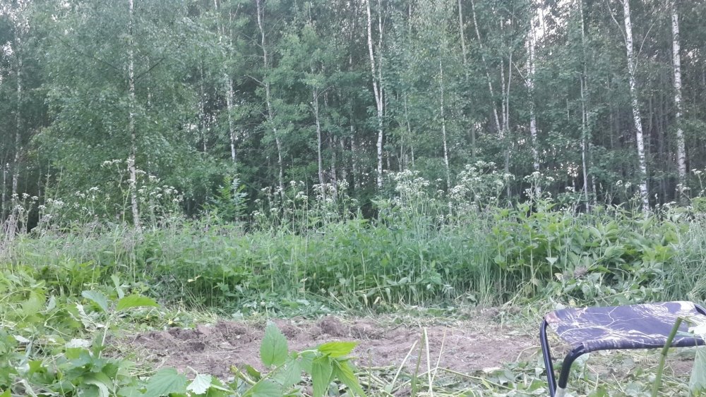 20190603_193415.thumb.jpg.80290c2f7e52a64bb356e0ef8ba25c14.jpg