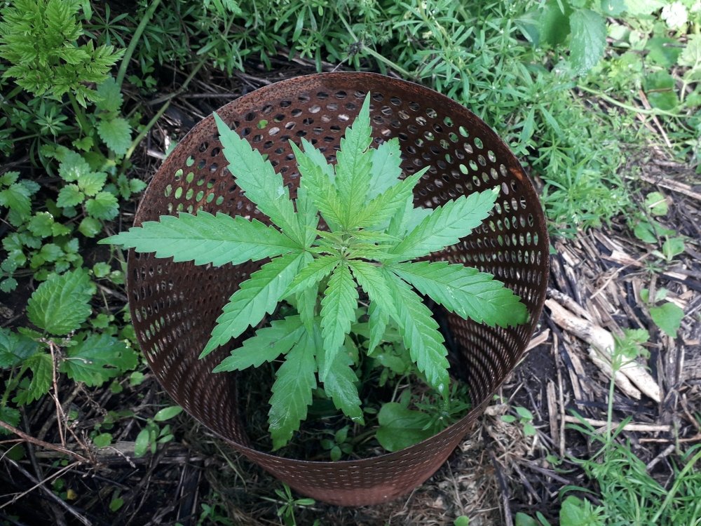 20190605_084524.jpg