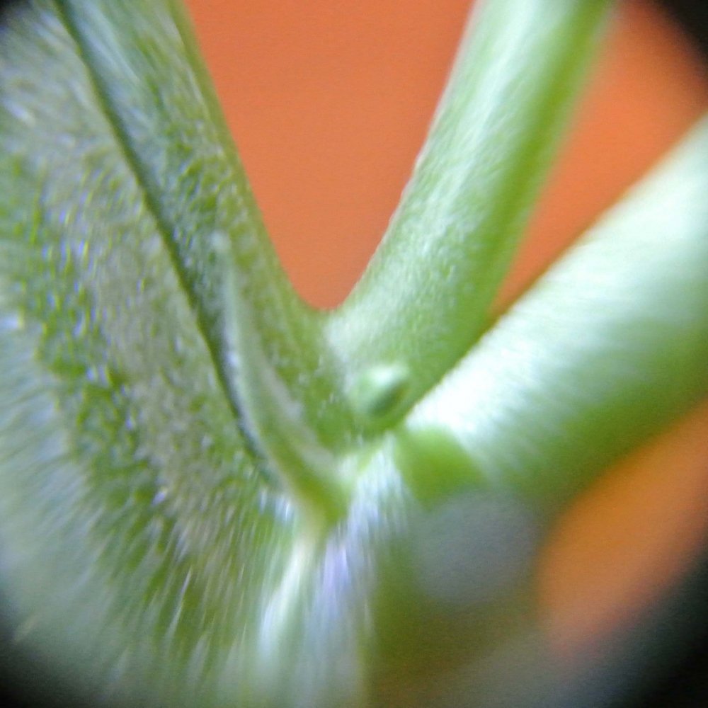 2m1.thumb.jpg.e31817049aa4093d86926f0d4d20eebd.jpg