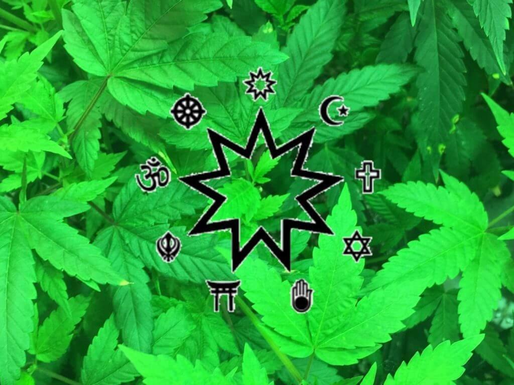 мусульмане и марихуана