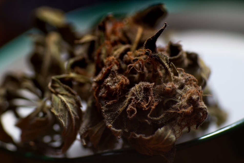 DSCF1048.jpg