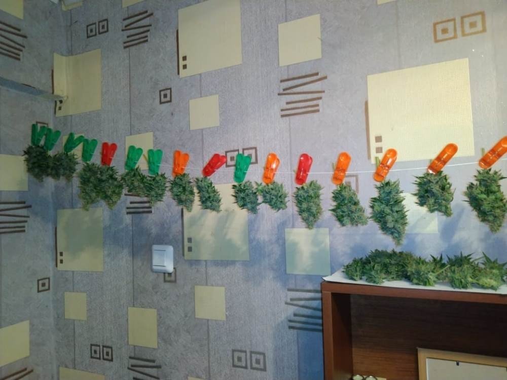 IMG-20190608-WA0007.jpg