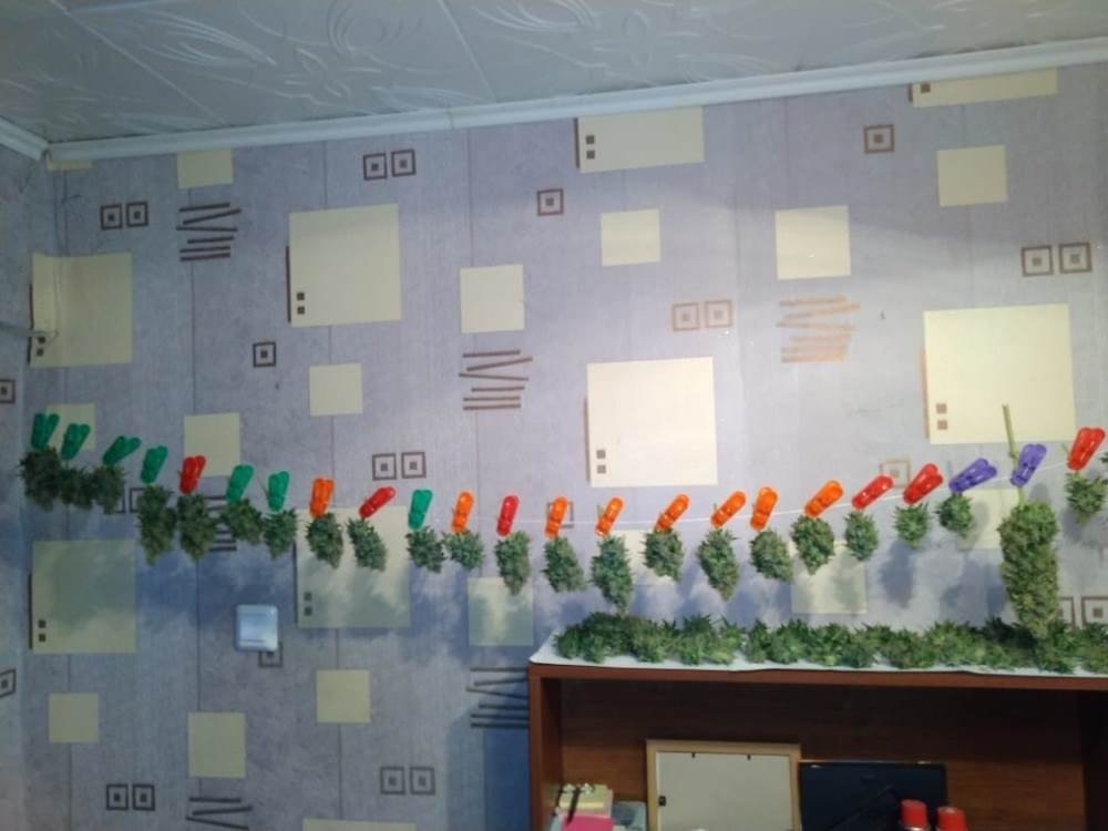 IMG-20190608-WA0008.jpg