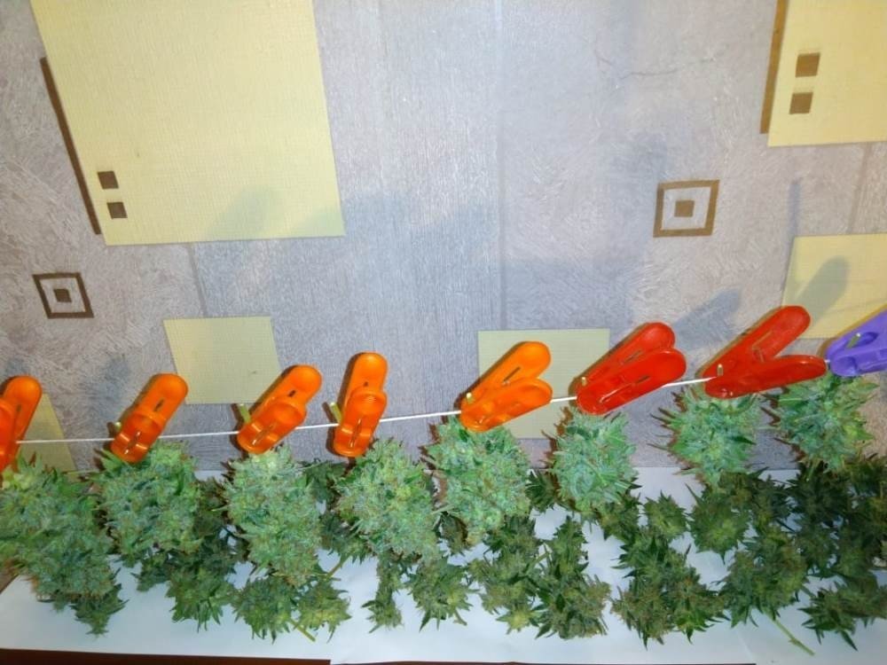 IMG-20190608-WA0010.jpg