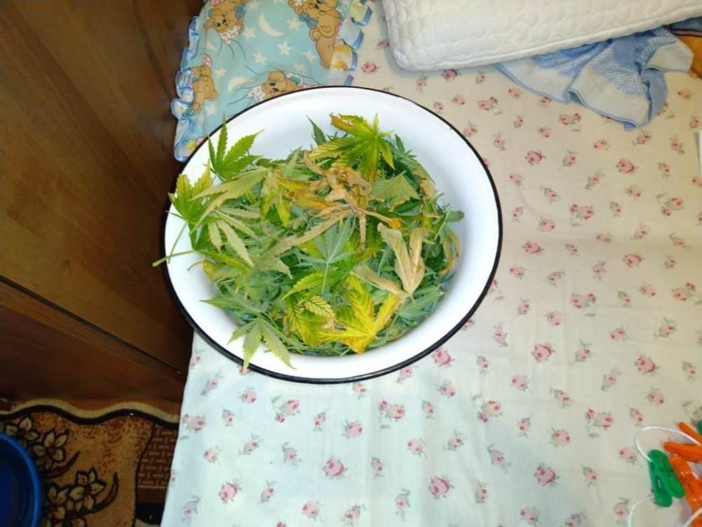 IMG-20190608-WA0012.jpg