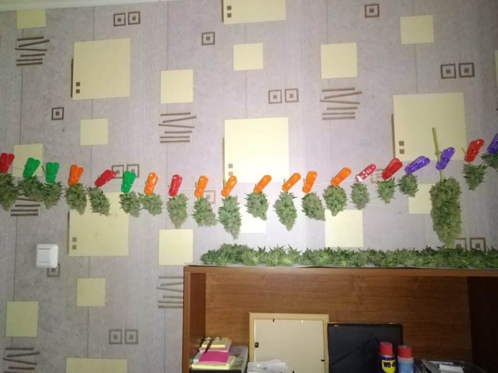 IMG-20190608-WA0013.jpg