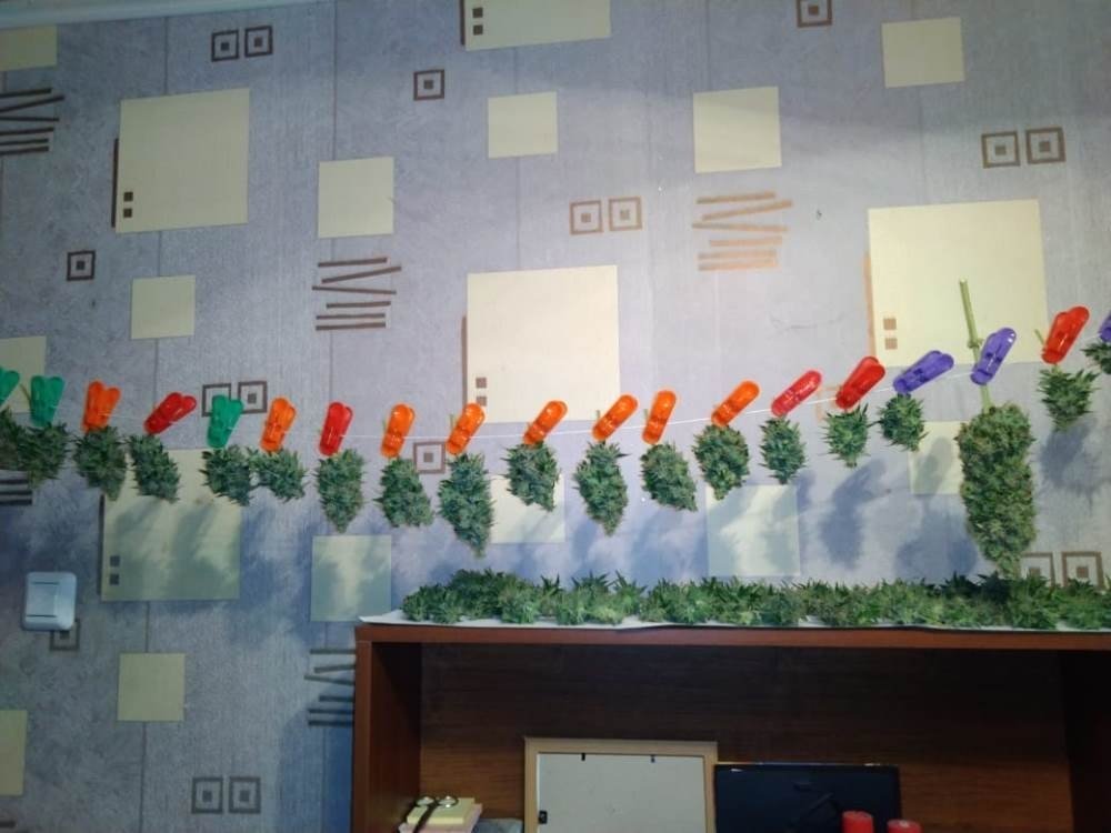 IMG-20190608-WA0016.jpg