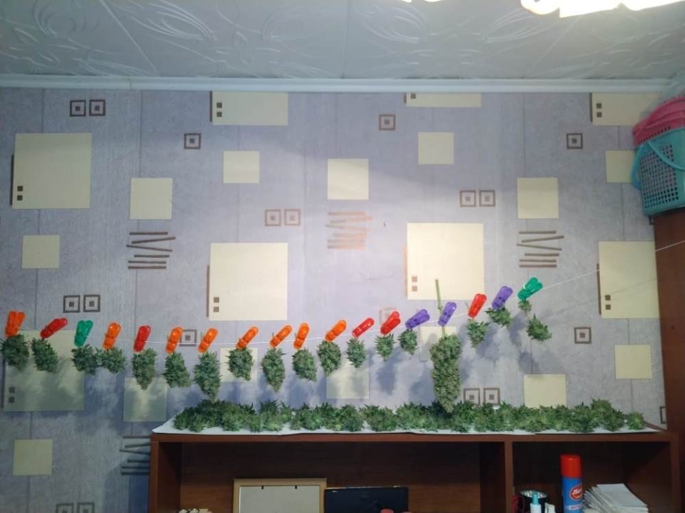 IMG-20190608-WA0017.jpg