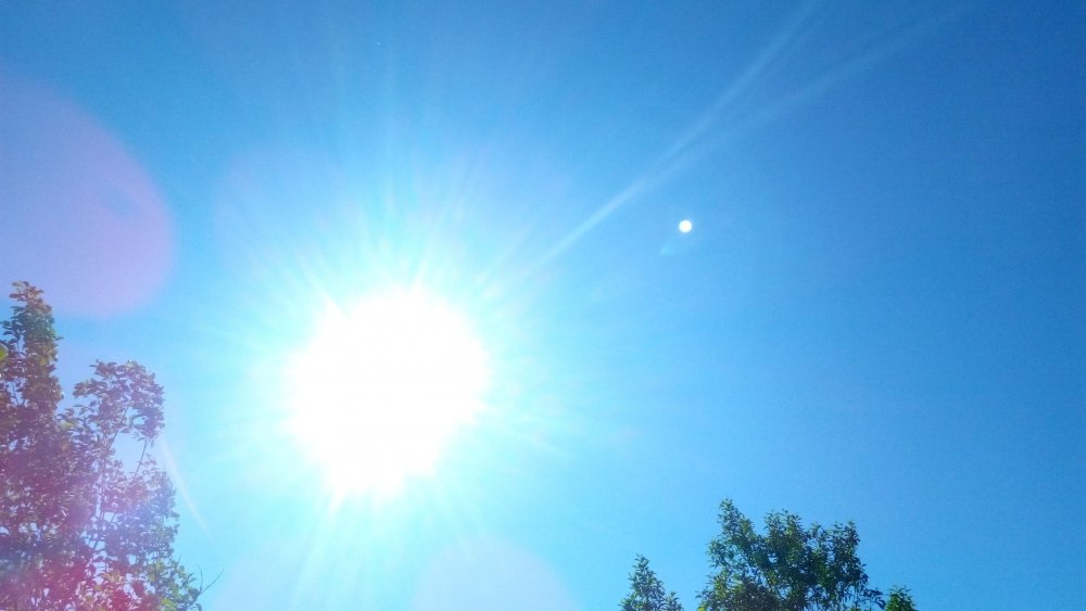 IMG_20190617_162104.jpg