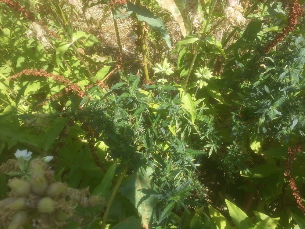 20190701_154221.jpg