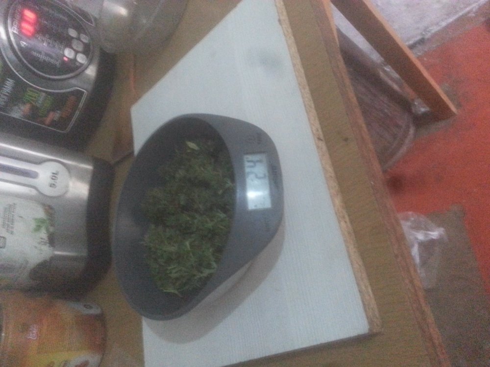 20190707_200517.jpg