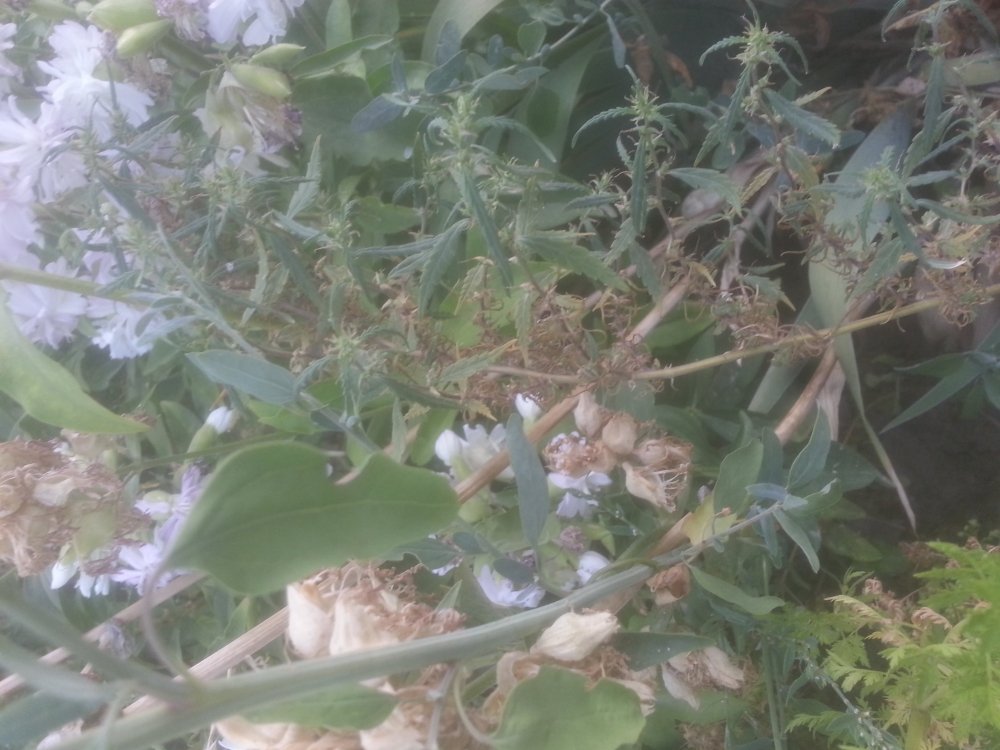 20190709_194637.jpg