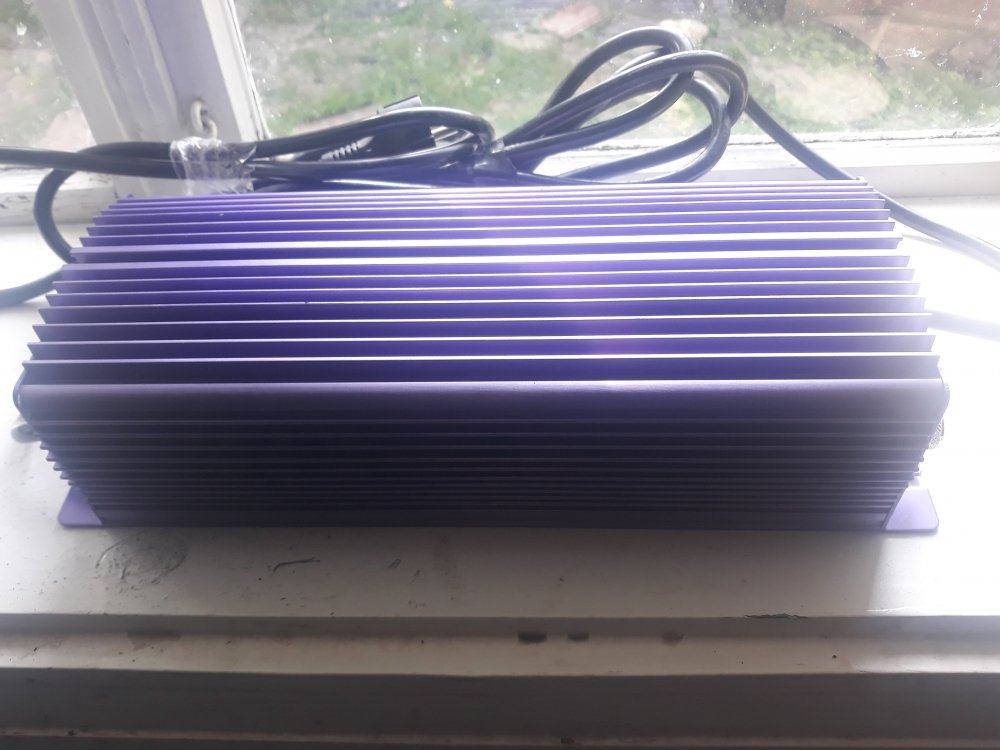 20190713_100629.jpg