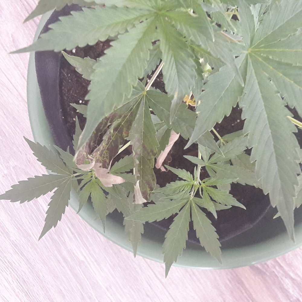 20190714_145945.jpg