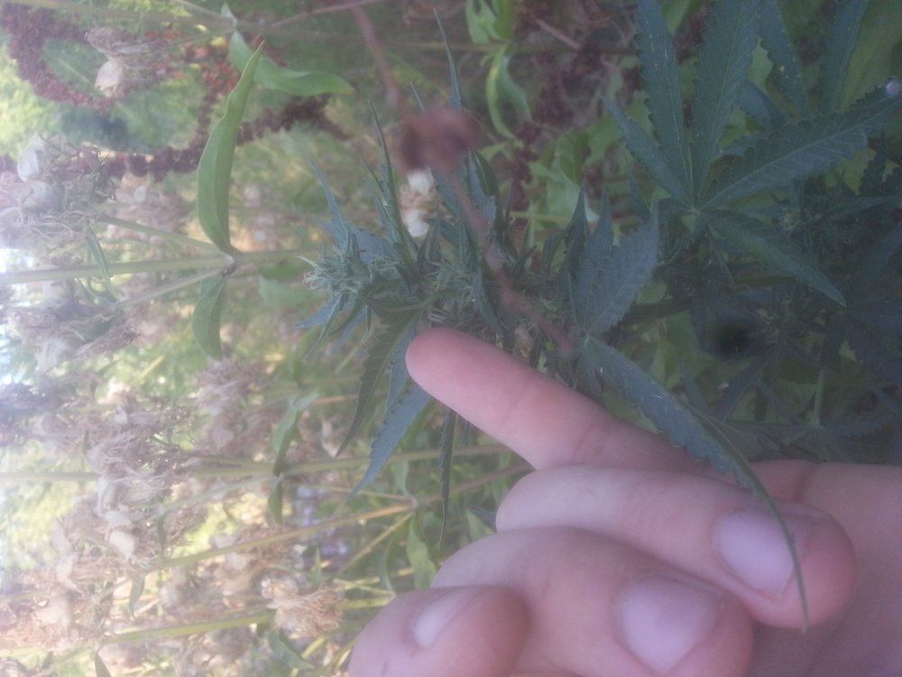 20190715_194027.jpg