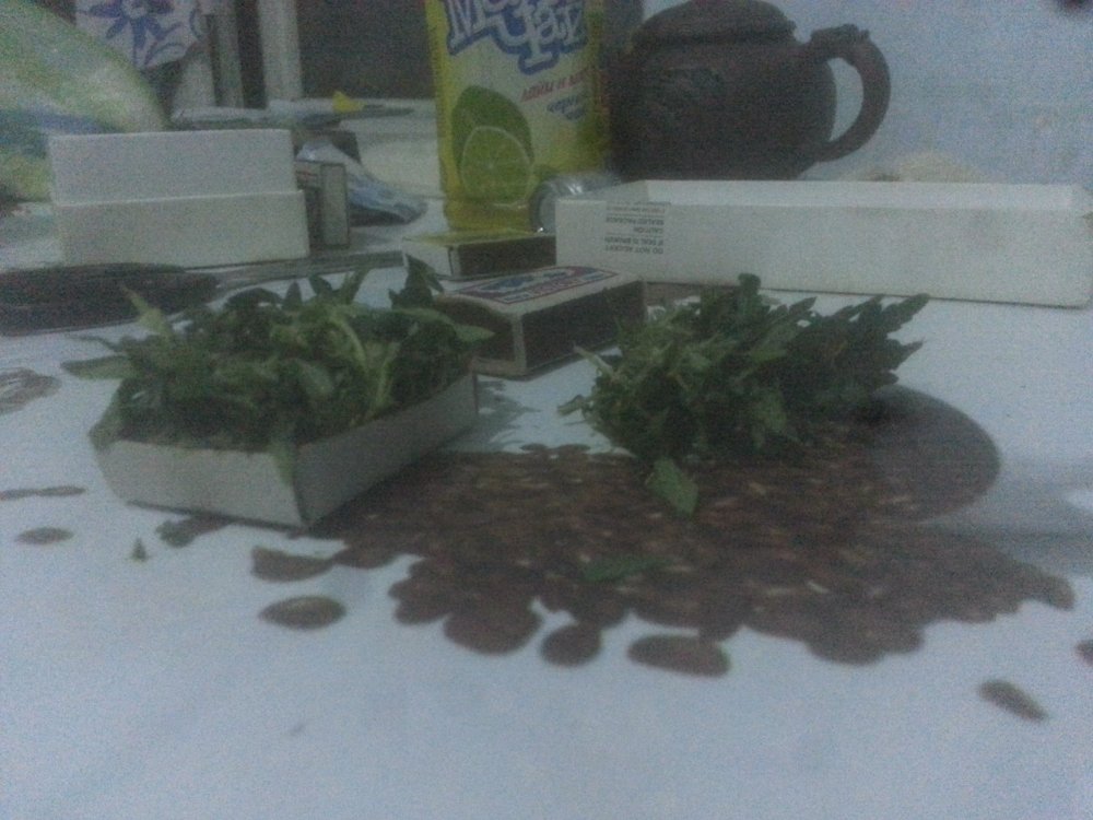 20190720_212834.jpg