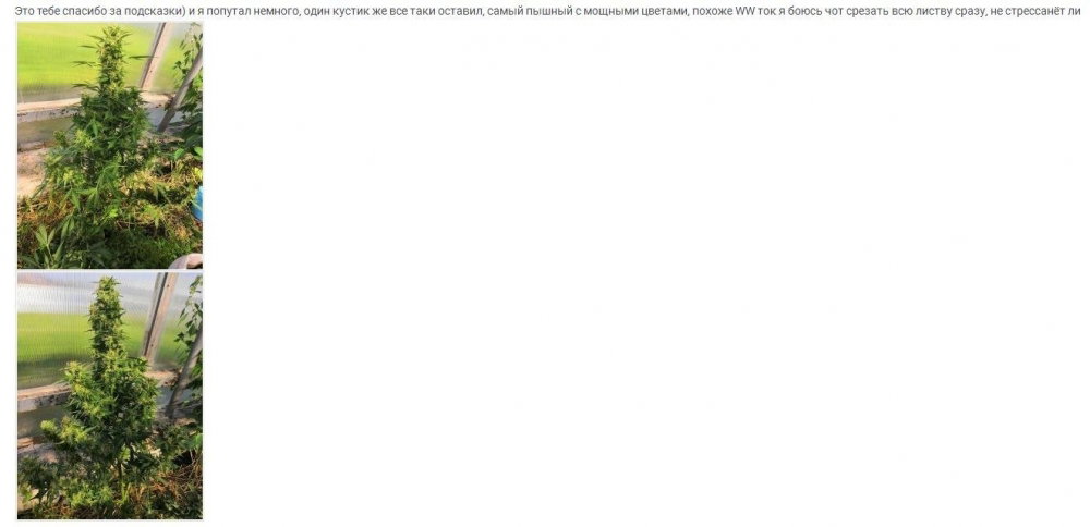 542741634_26.thumb.JPG.e6eea53acef0d292b2f37f3057571d3d.JPG