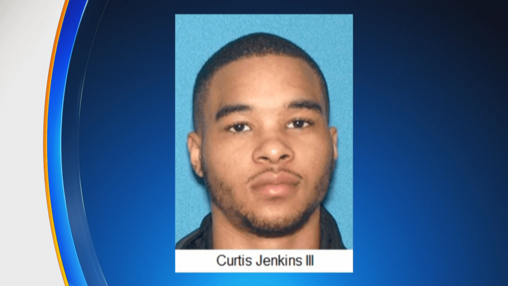 curtis-jenkins (1).png