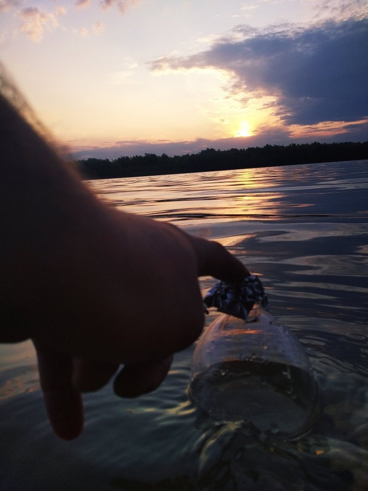 IMG_20190726_203245.jpg