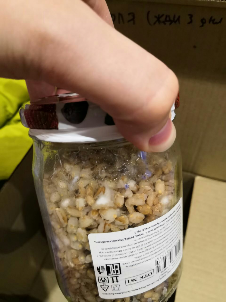 image.thumb.png.d0b07166c10beb3dae18839600617aff.png