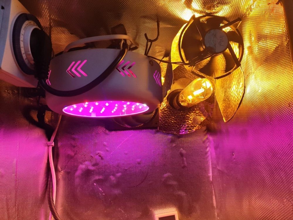 20190806_114517.jpg