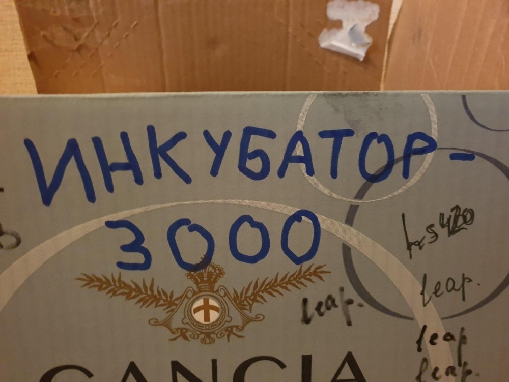 20190811_161908.thumb.jpg.aec52672682d52f52176fb9f806152ed.jpg