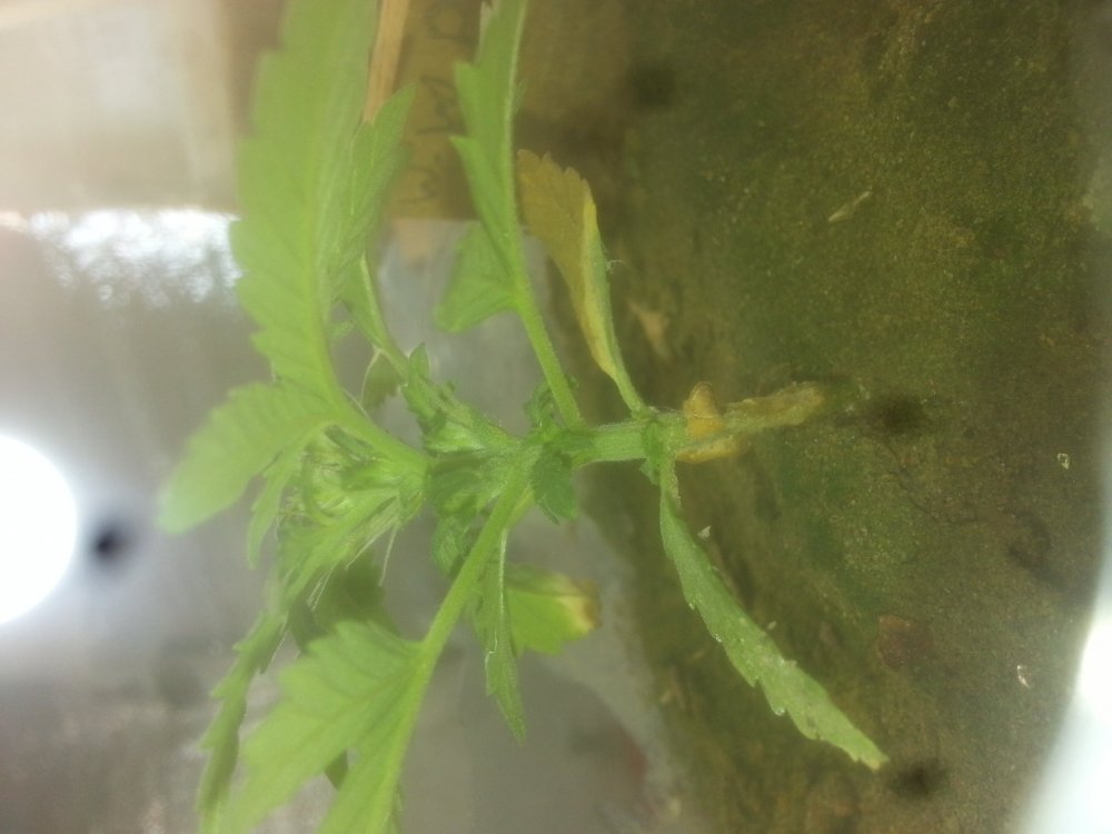 20190817_105448.jpg