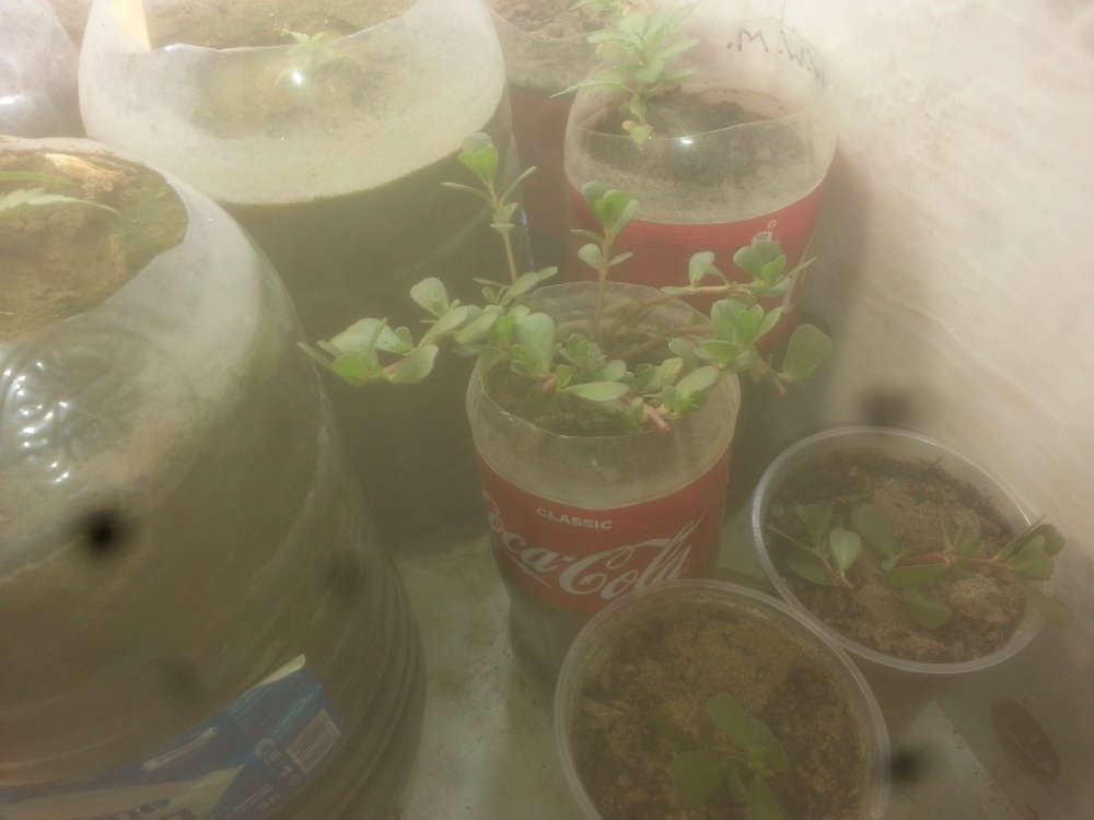 20190817_105521.jpg