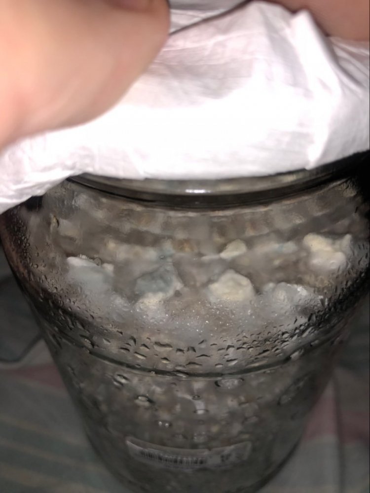 996787982_.thumb.jpg.79682d1cc626e3d40d67c1047fa3e2cb.jpg