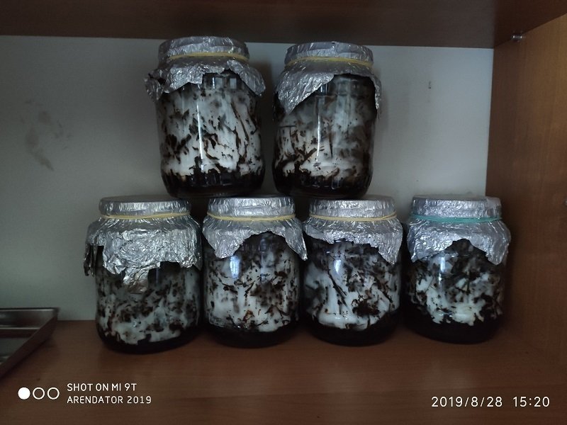 IMG_20190828_152056.thumb.jpg.d5fd90cf7d863c17b5ef86b12ea11a0e.jpg