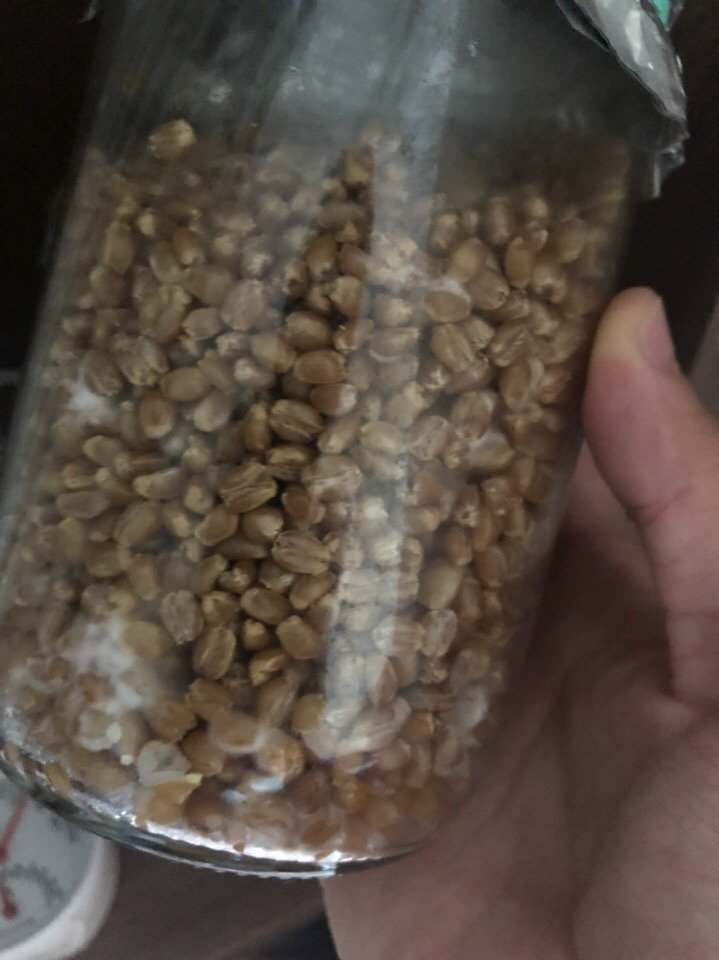 ZhExoM0wkjU.jpg
