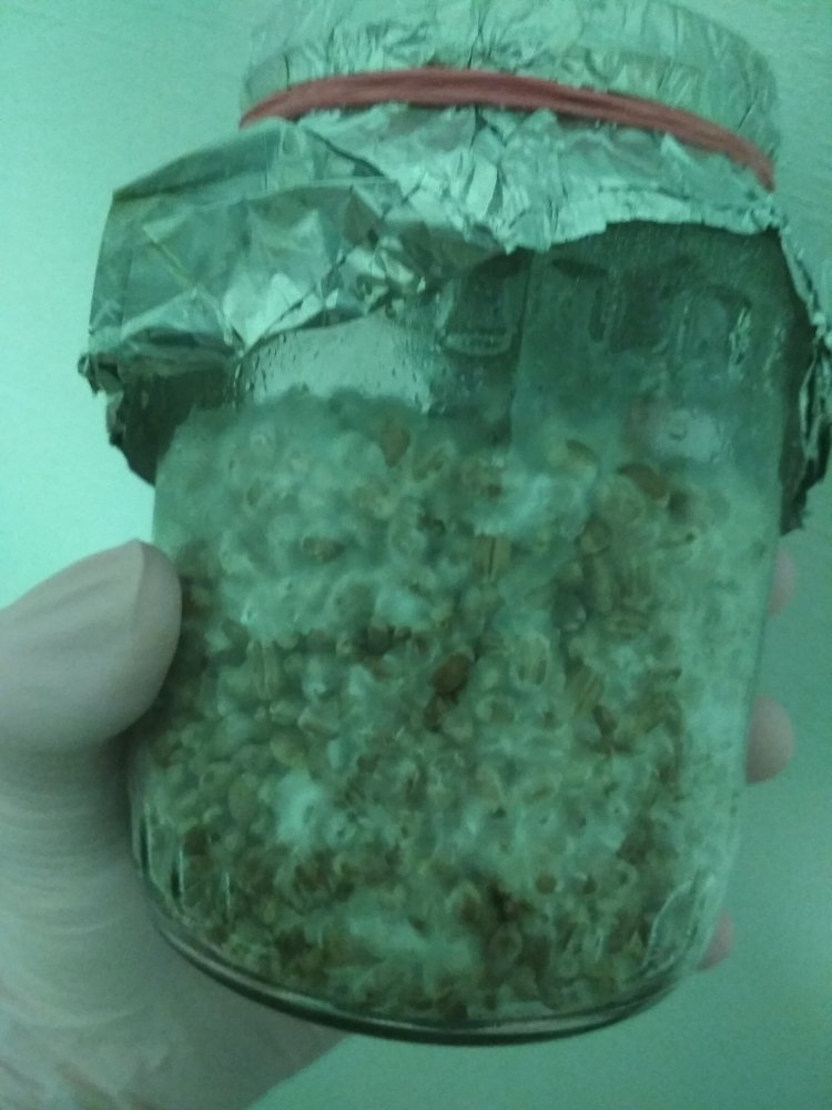 bak3_0.thumb.jpg.d5887610e57747ad01ef88b9f6b29c51.jpg
