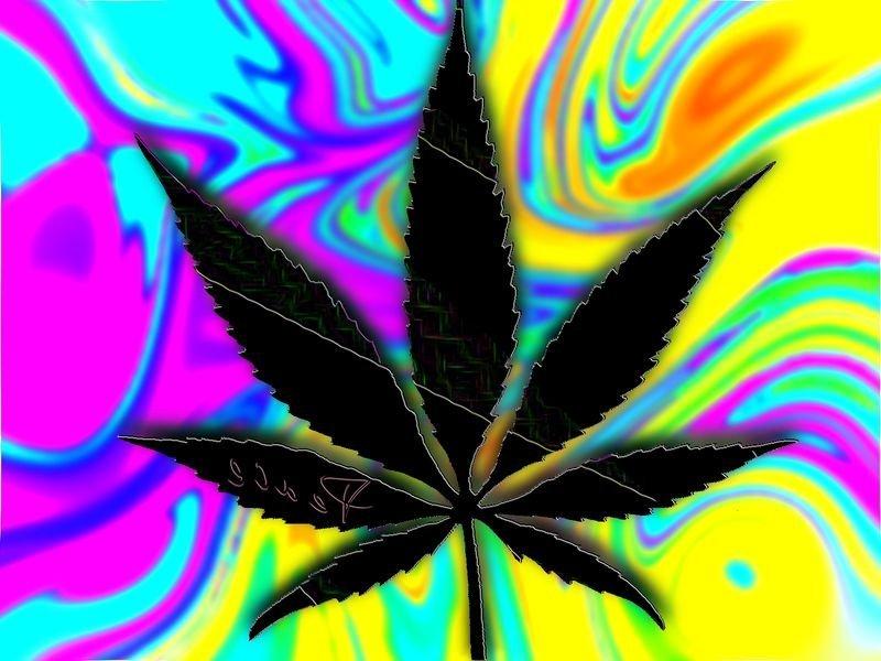 Фильм по выращиванию марихуаны картинки полей с коноплей