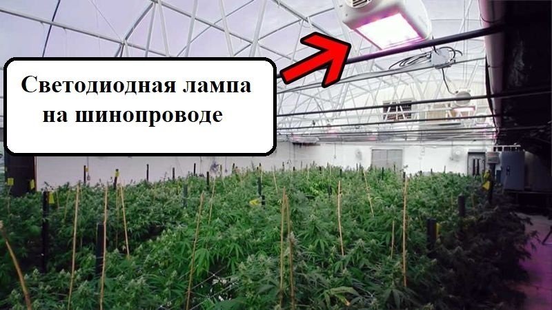 05.jpg
