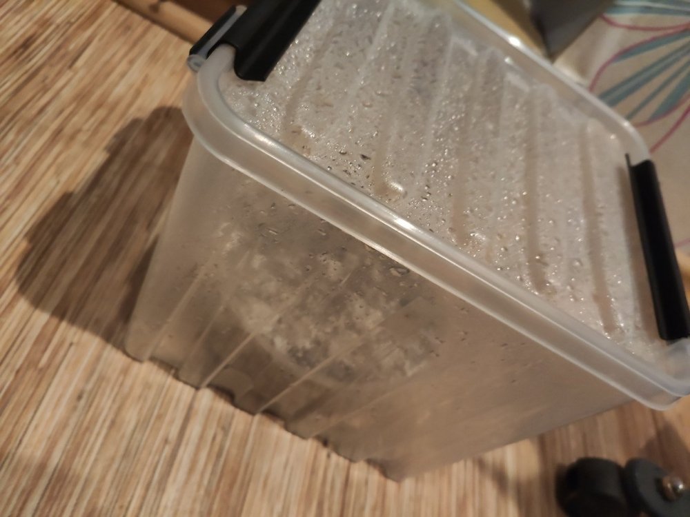 Anmfo5GmlTQ[1].jpg