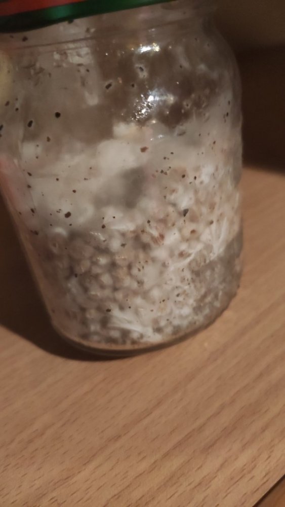 5hEVPa2S0pc[1].jpg