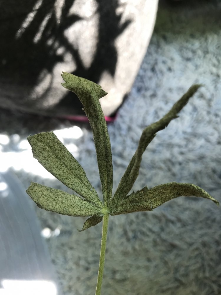 20190822_075101871_iOS.jpg