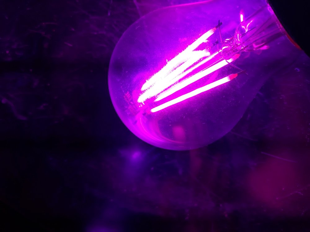 20190902_165656.jpg