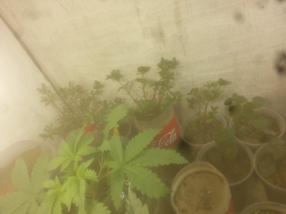 20190907_072813.jpg