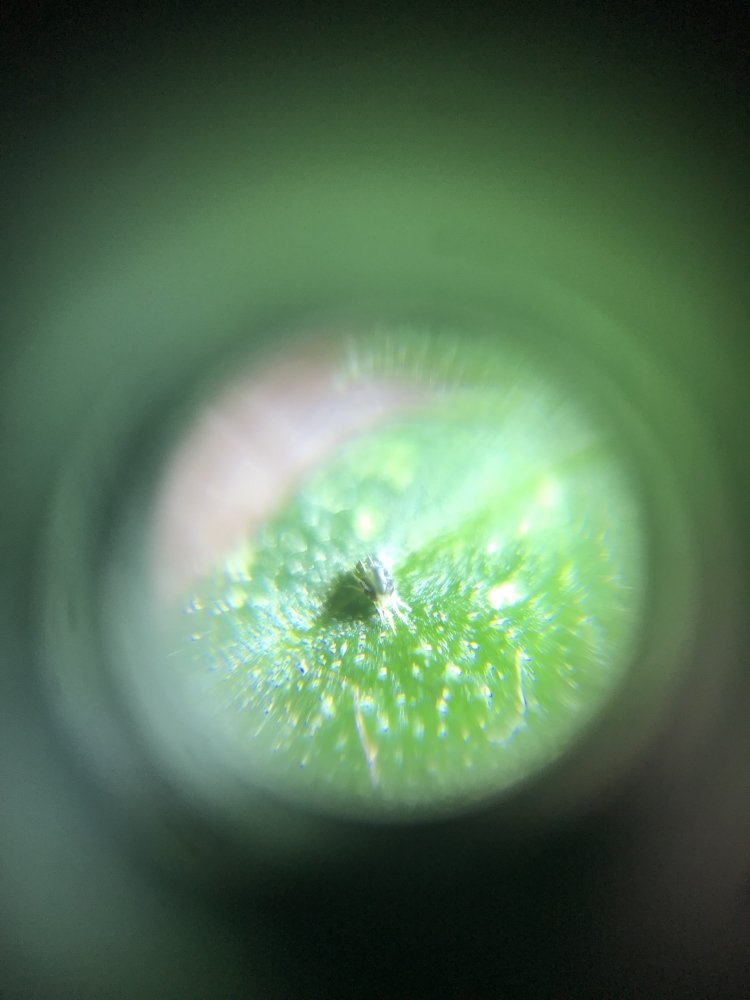 20190909_171510109_iOS.jpg