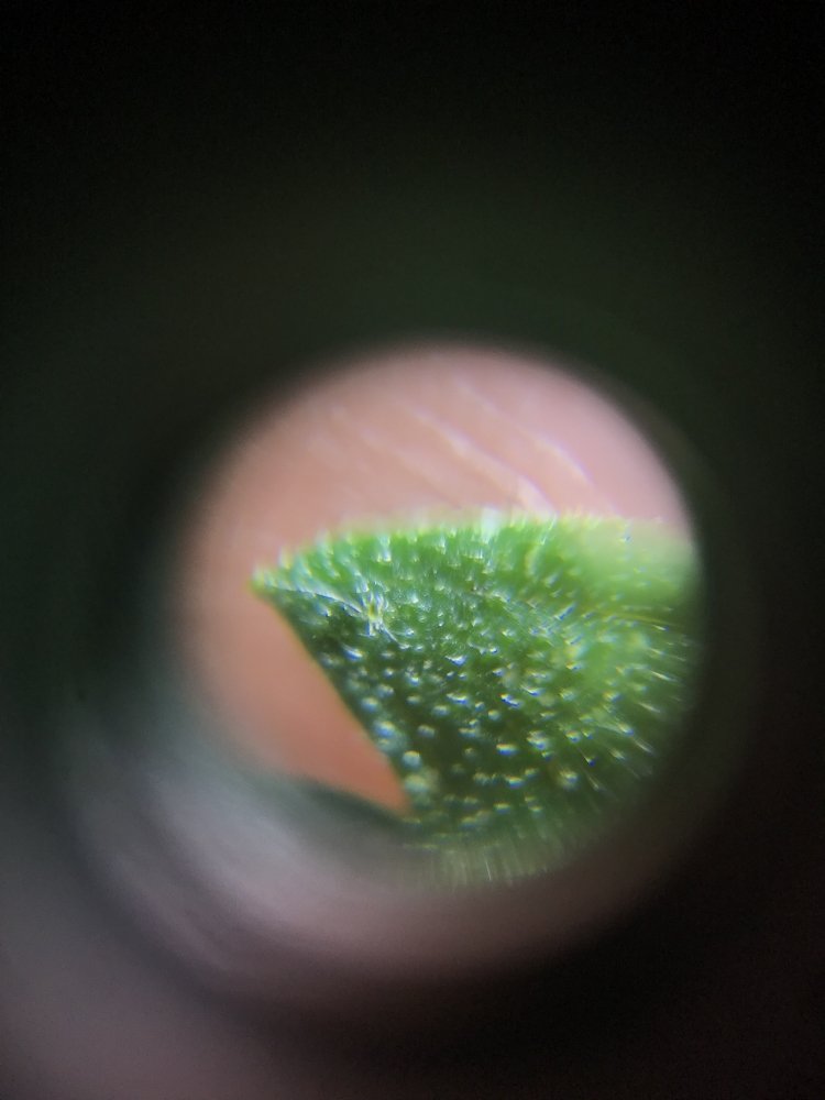 20190909_171551241_iOS.jpg