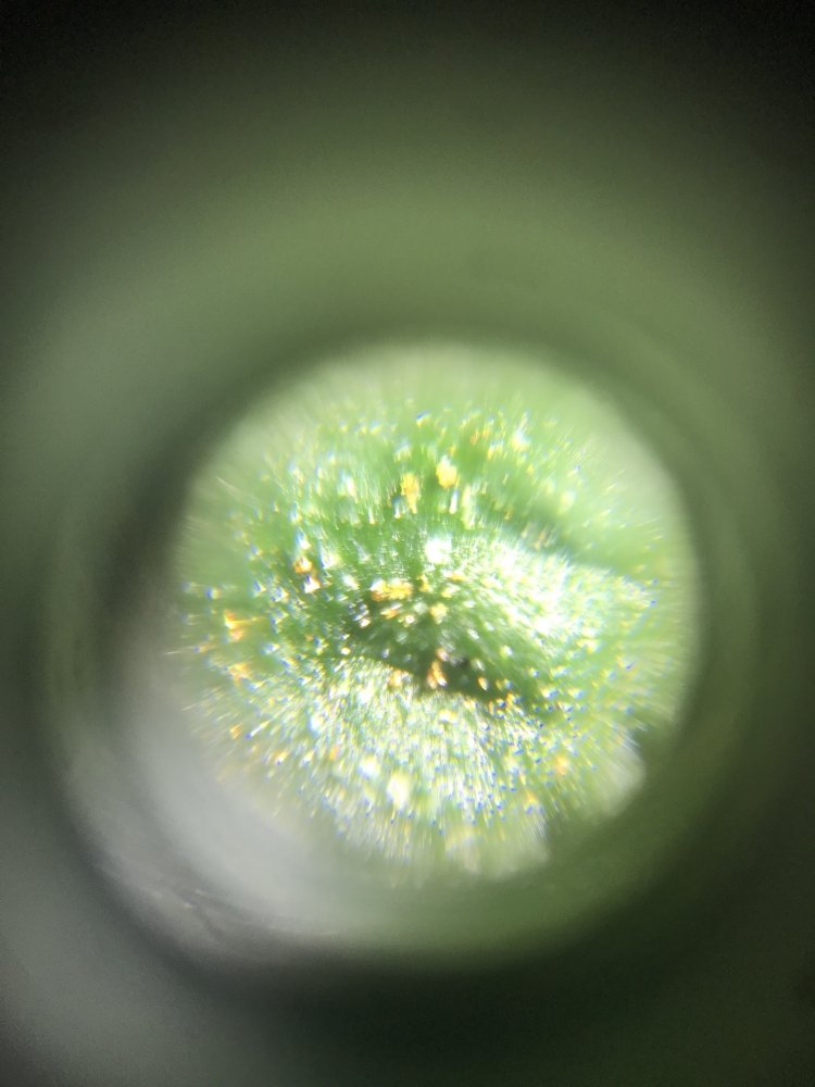 20190909_171704152_iOS.jpg