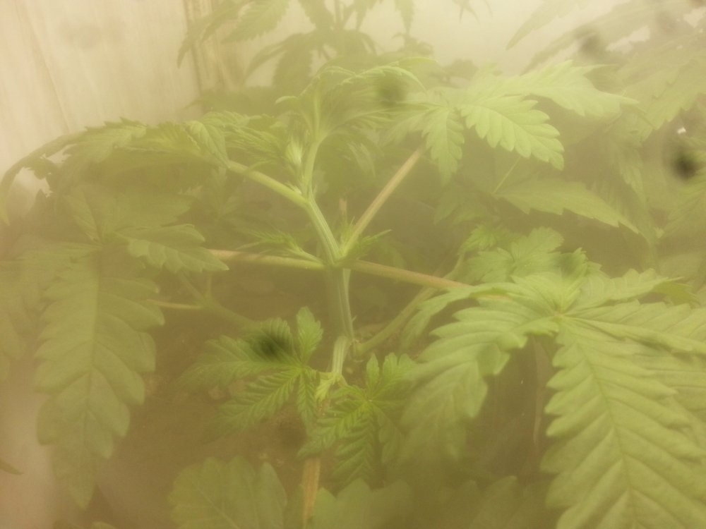 20190910_224232.jpg