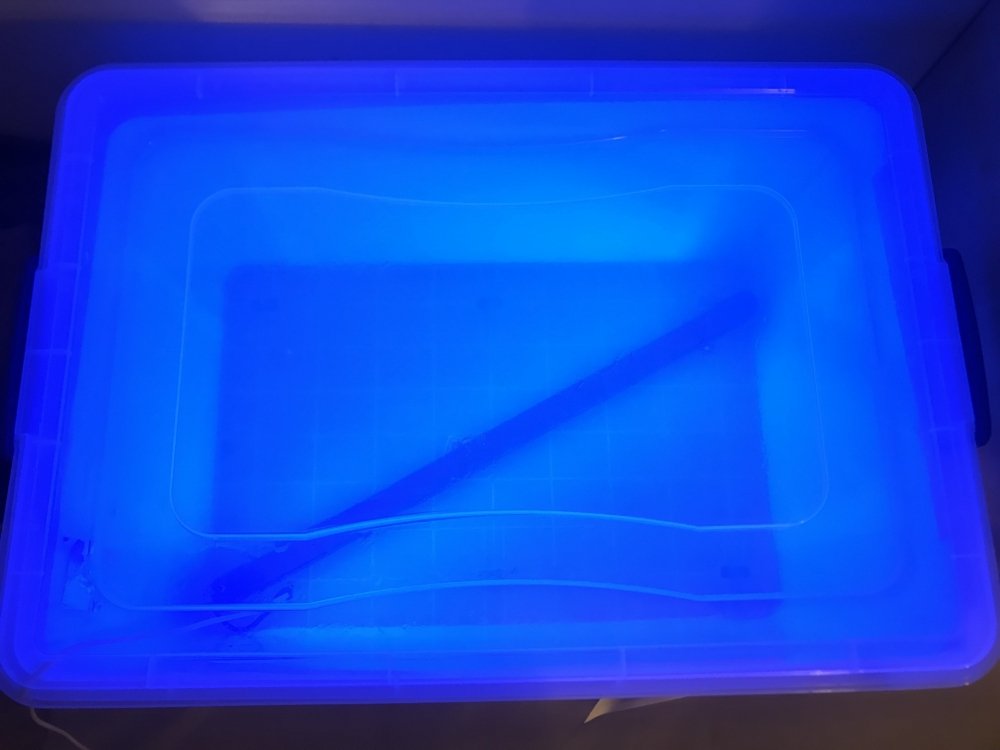 2C5B9E6A-08D2-4664-A554-83190BF4D356.thumb.jpeg.f7caf170482a95f20713bfa250fb6eef.jpeg