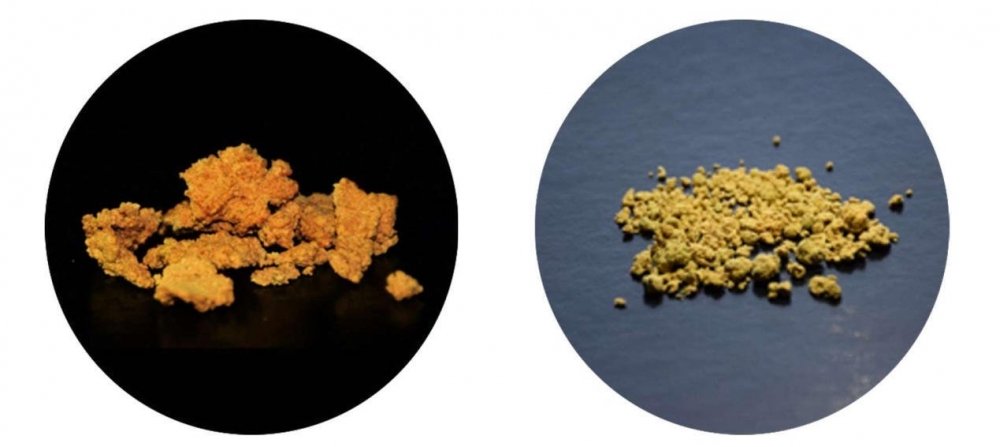 bioreactor-powder.jpg